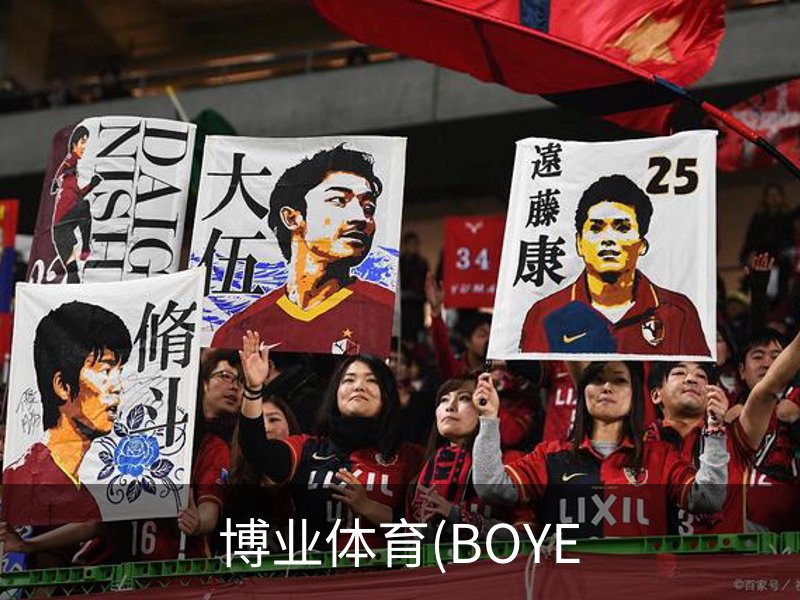 博业体育(BOYE概况